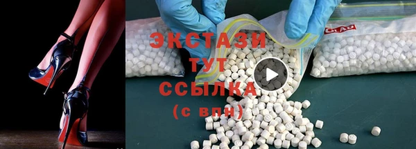 гидра Богородск
