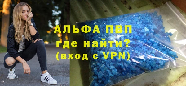 гидра Богородск