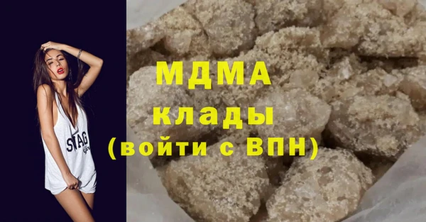 гидра Богородск