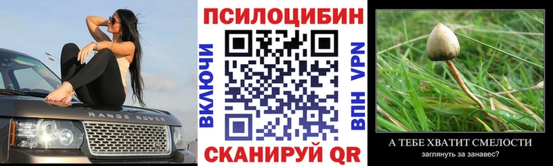 как найти закладки  KRAKEN ONION  Псилоцибиновые грибы Psilocybe  Янаул 